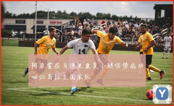 阿劳霍在马德里康复小腿伤势成功回归乌拉圭国家队